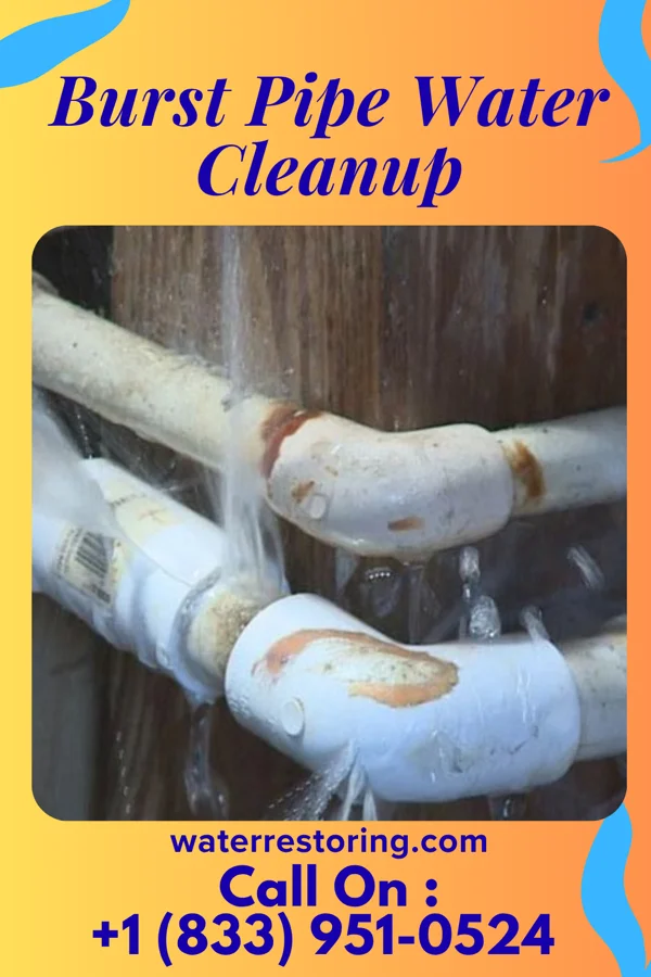 Burst Pipe Water Cleanup in Norwood, NJ