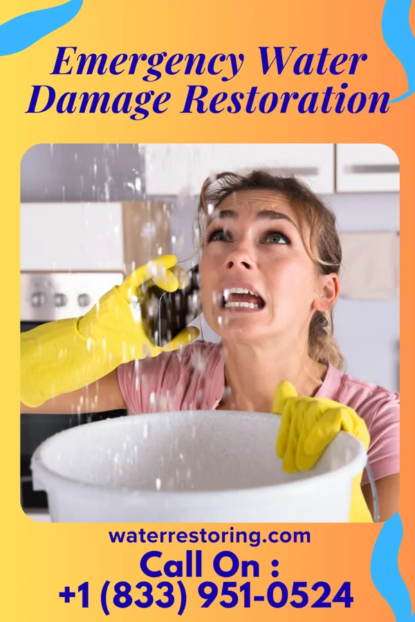 Emergency Water Damage Restoration in Norwood, NJ