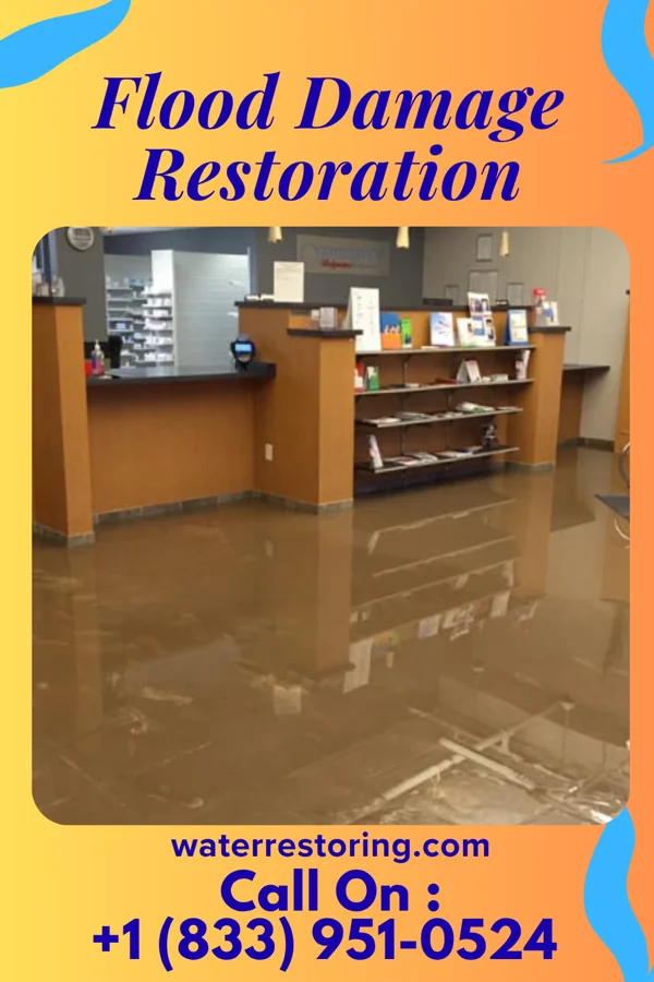 Flood Damage Restoration in Norwood, NJ