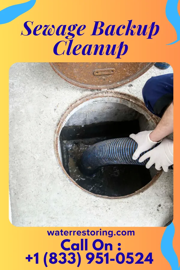 Sewage Backup Cleanup in Norwood, NJ