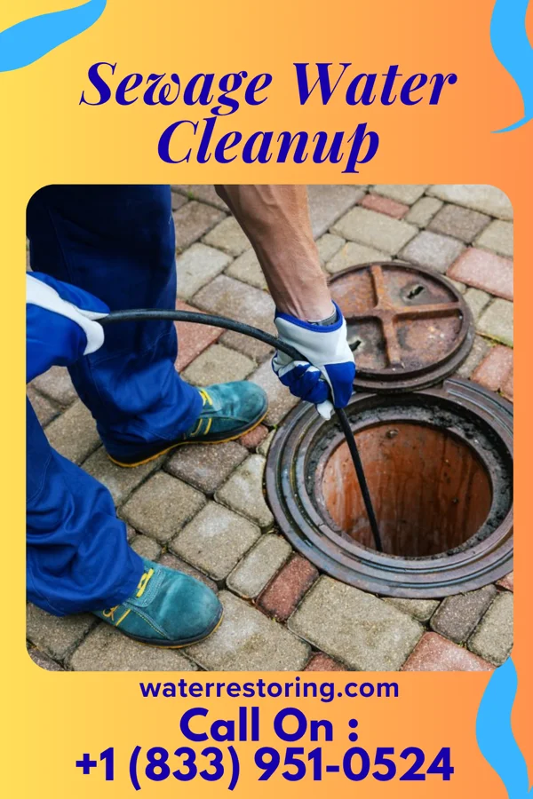 Sewage Water Cleanup in Norwood, NJ