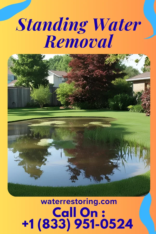 Standing Water Removal in Norwood, NJ